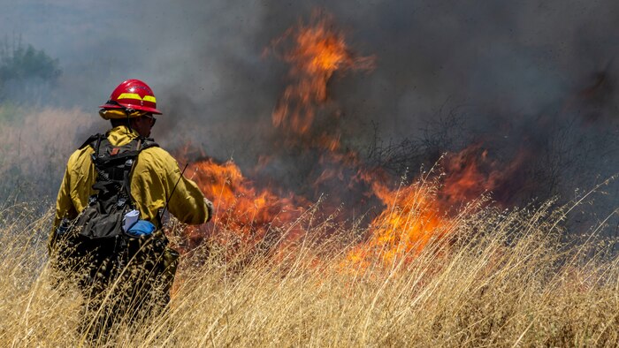 A firefighter ignites vegetation with a drip torch during a controlled burn training as part of CPFD's Fire School on Marine Corps Base Camp Pendleton, Calif., June 3.
