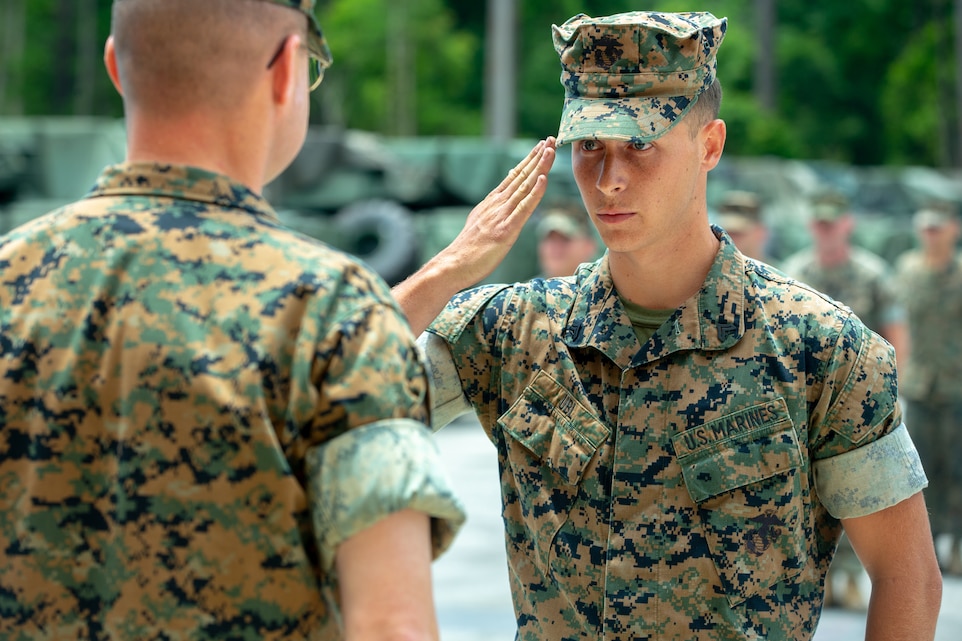 Initiative, Perseverance, Selflessness: 2d LAR Marine Awarded NAVCOMM ...