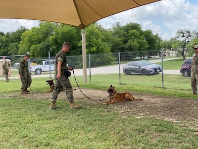 Military working dog handler training students from the Army, Air Force, Marine Corps and Navy lead a virtual K-9 demonstration for the Fair Oaks, Texas, Rotary Club June 3, 2020, at Joint Base San Antonio-Lackland.