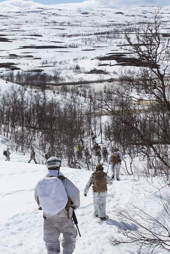U.S. Marines with Marine Rotational Force-Europe 20.2, Marine Forces Europe and Africa, and Norwegian soldiers trek through snowy terrain to their next rendezvous point during Exercise Thunder Reindeer in Setermoen, Norway, May 27, 2020. Thunder Reindeer is an annual two-week exercise that includes live-fire ranges, combined arms and improves interoperability between the U.S. Marine Corps and Norwegian Armed Forces. (U.S. Marine Corps photo by Lance Cpl. Chase W. Drayer)