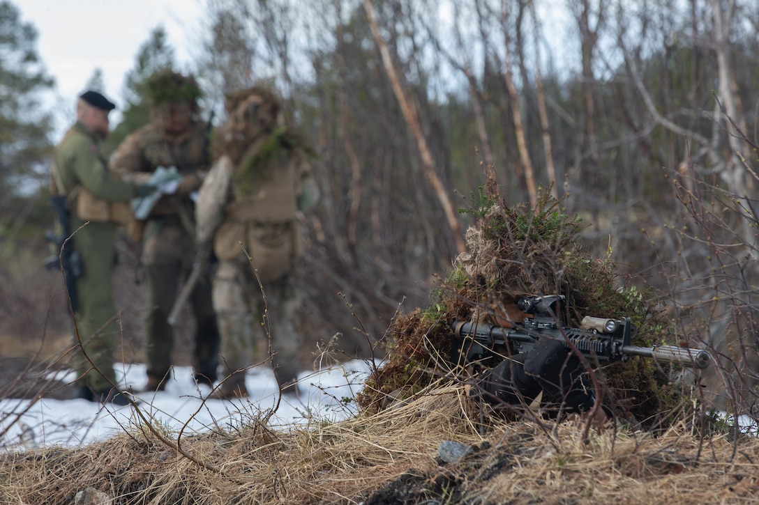 A U.S. Marine scout sniper with Marine Rotational Force-Europe 20.2, Marine Forces Europe and Africa, provides security while other Marine snipers rendezvous with Norwegian soldiers to exchange information during Exercise Thunder Reindeer in Setermoen, Norway, June 4, 2020. Thunder Reindeer is an annual two-week exercise that includes live-fire ranges, combined arms and improves interoperability between the U.S. Marine Corps and Norwegian Armed Forces. (U.S. Marine Corps photo by Lance Cpl. Chase W. Drayer)