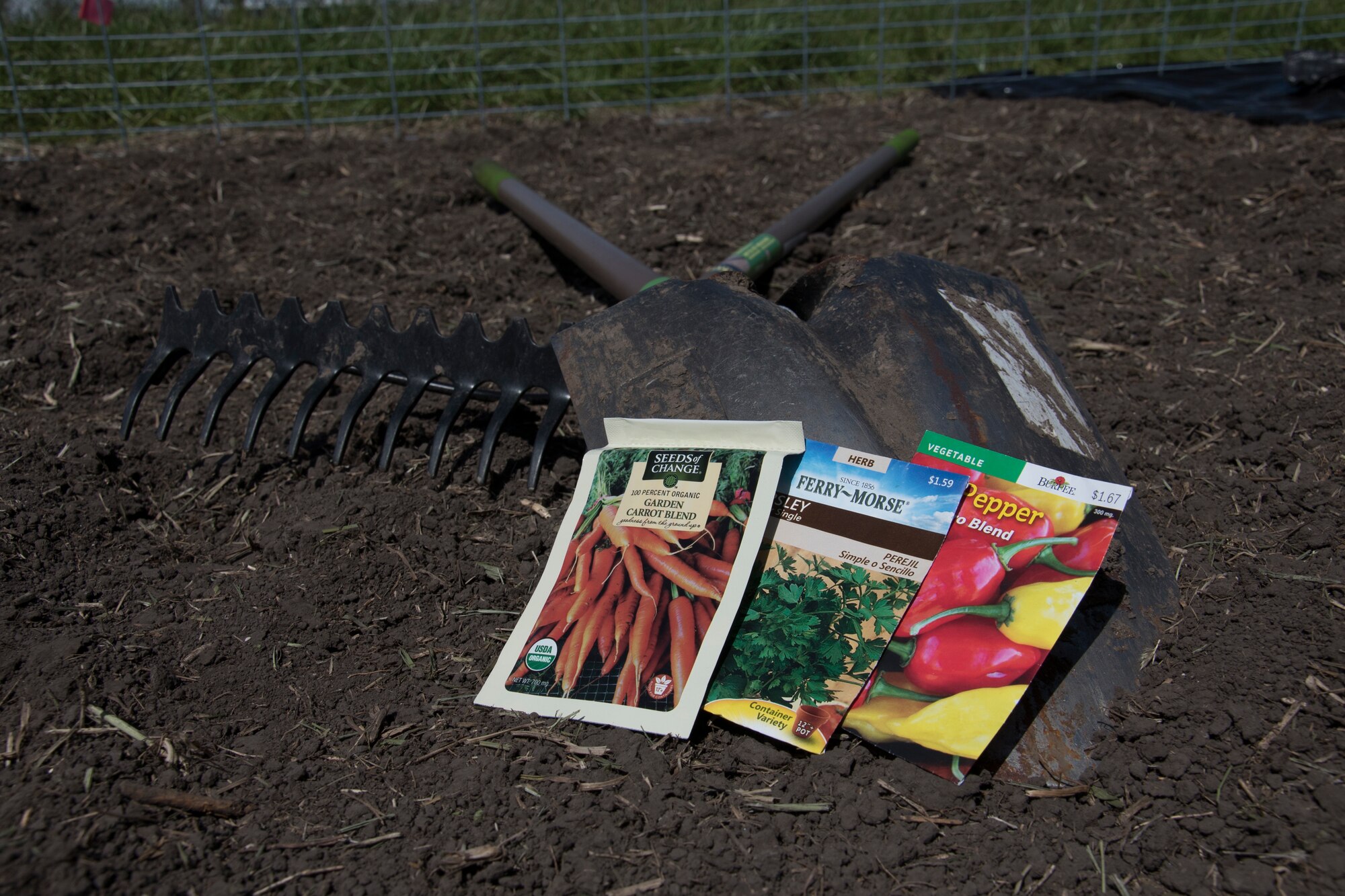 Gardening tools and seeds