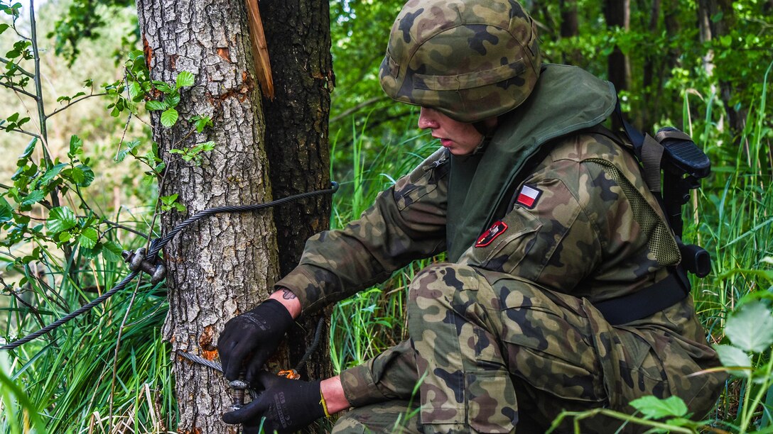 Defender Europe 20 Plus - Polish Bridge Training