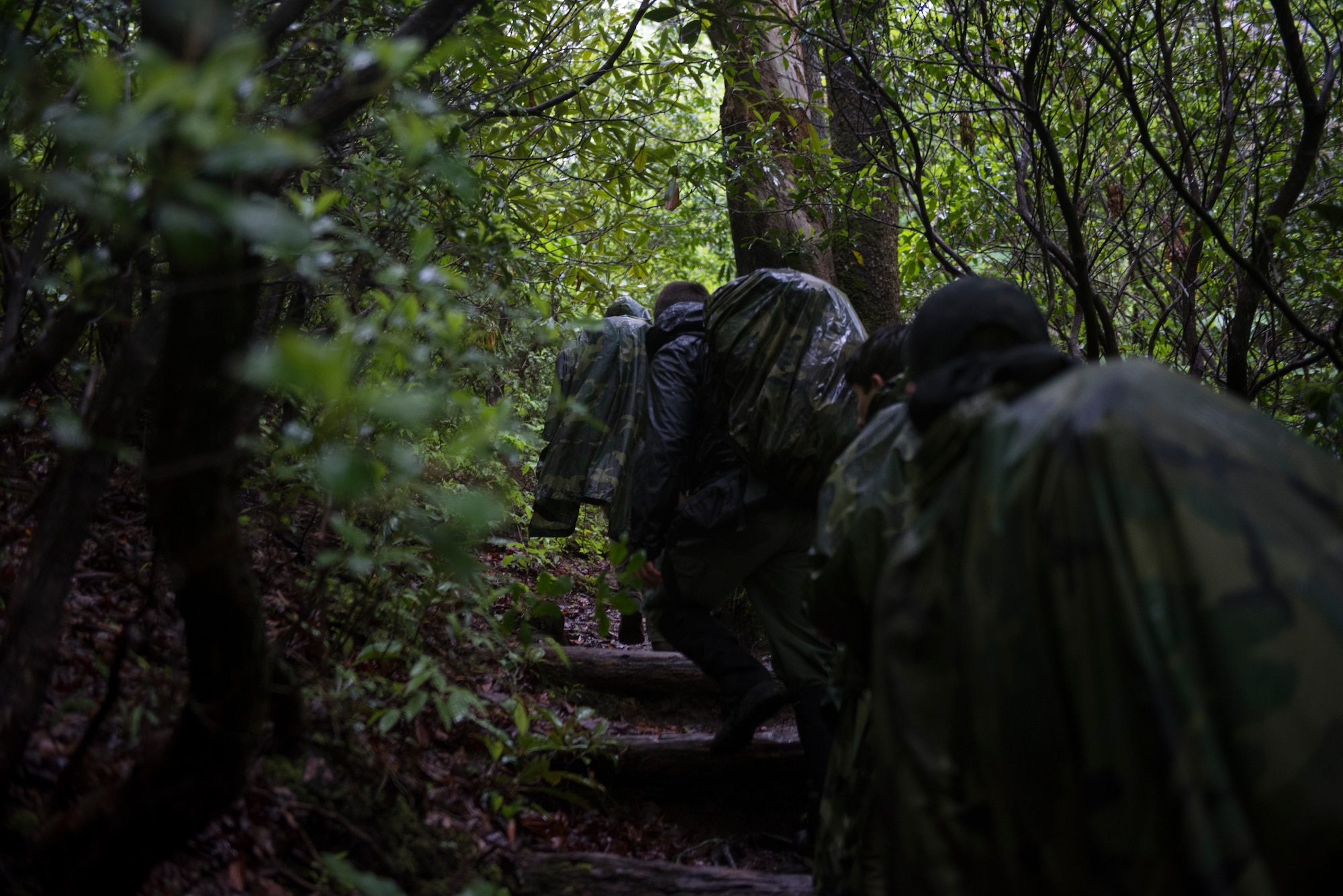 A group of Airmen from Seymour Johnson Air Force Base navigate a mountain trail, near Brevard, North Carolina, May 20, 2020. The group was taking part in combat survival training to become survival, evasion, resistance and escape augmentees. (U.S. Air Force photo by Senior Airman Kenneth Boyton)