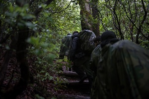 A group of Airmen from Seymour Johnson Air Force Base navigate a mountain trail, near Brevard, North Carolina, May 20, 2020. The group was taking part in combat survival training to become survival, evasion, resistance and escape augmentees. (U.S. Air Force photo by Senior Airman Kenneth Boyton)