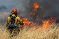A man in a fireman's uniform stands in a field with flames burning in front of him.