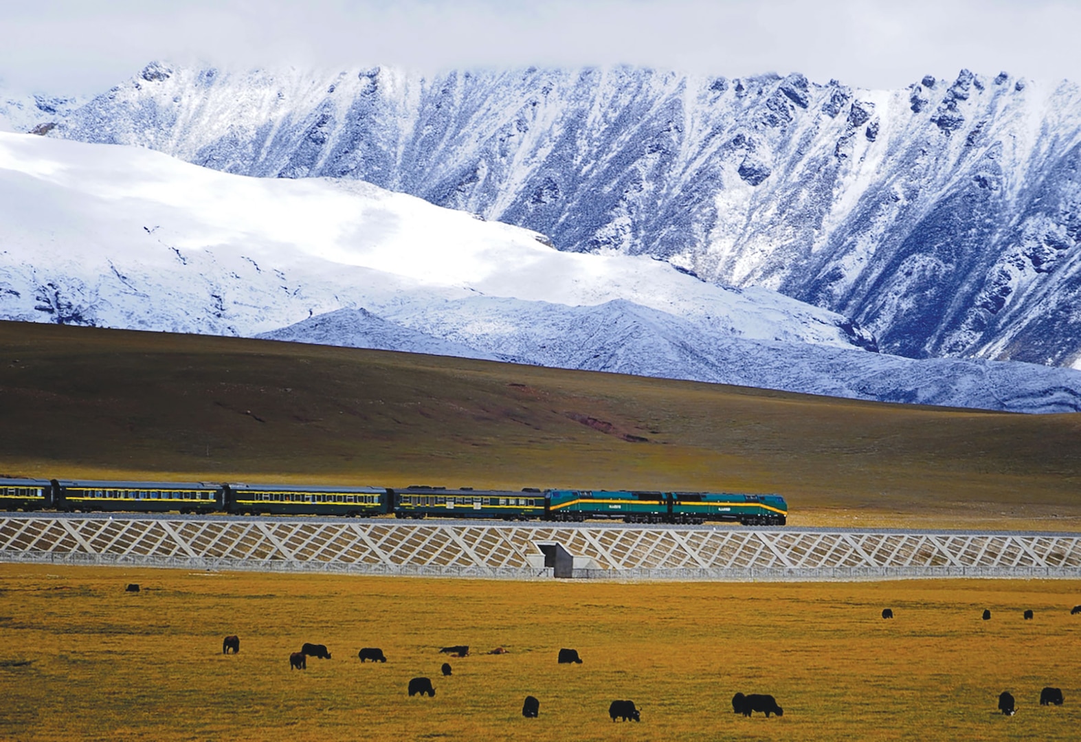 Chinese train in Tibet about 20 km north of Yangbaijan. (Jan Reurink)