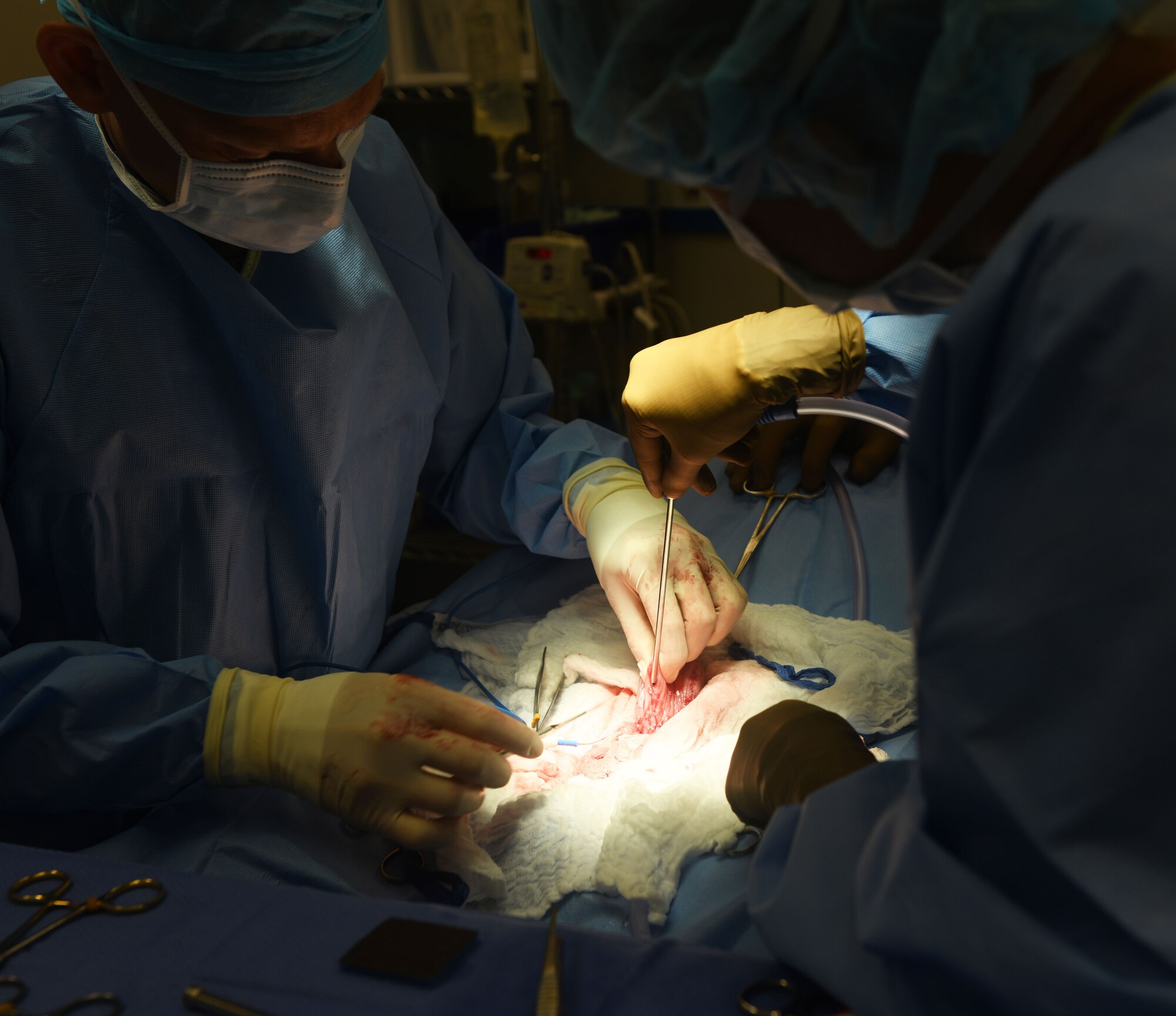 A surgical procedure is performed to remove a large mass located inside the bladder of military working dog.