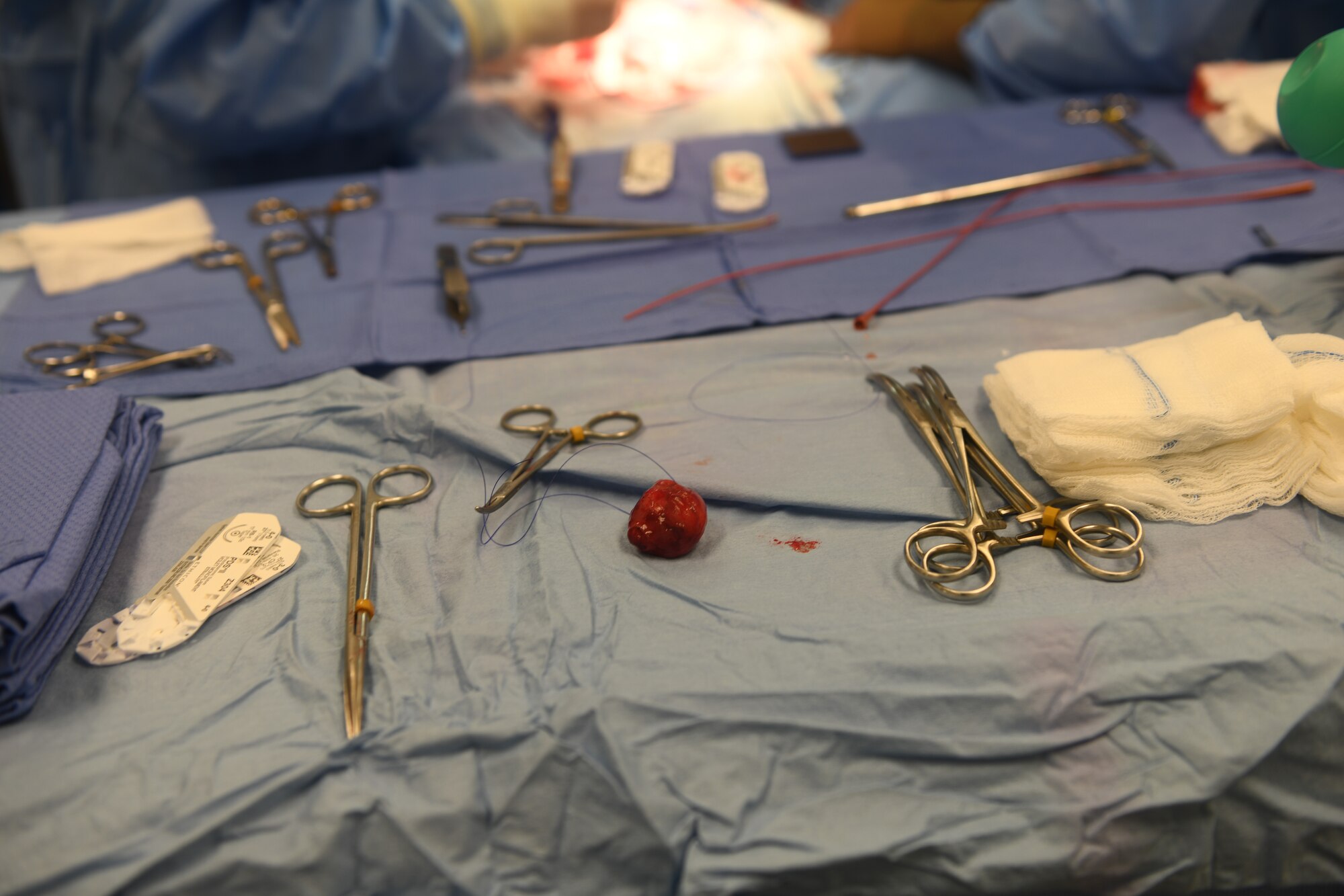 A benign mass sits on the operating table after being removed from the bladder of military working dog.