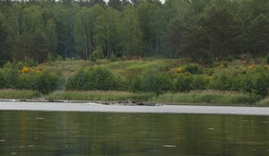 Defender Europe 20 Plus - River Crossing
