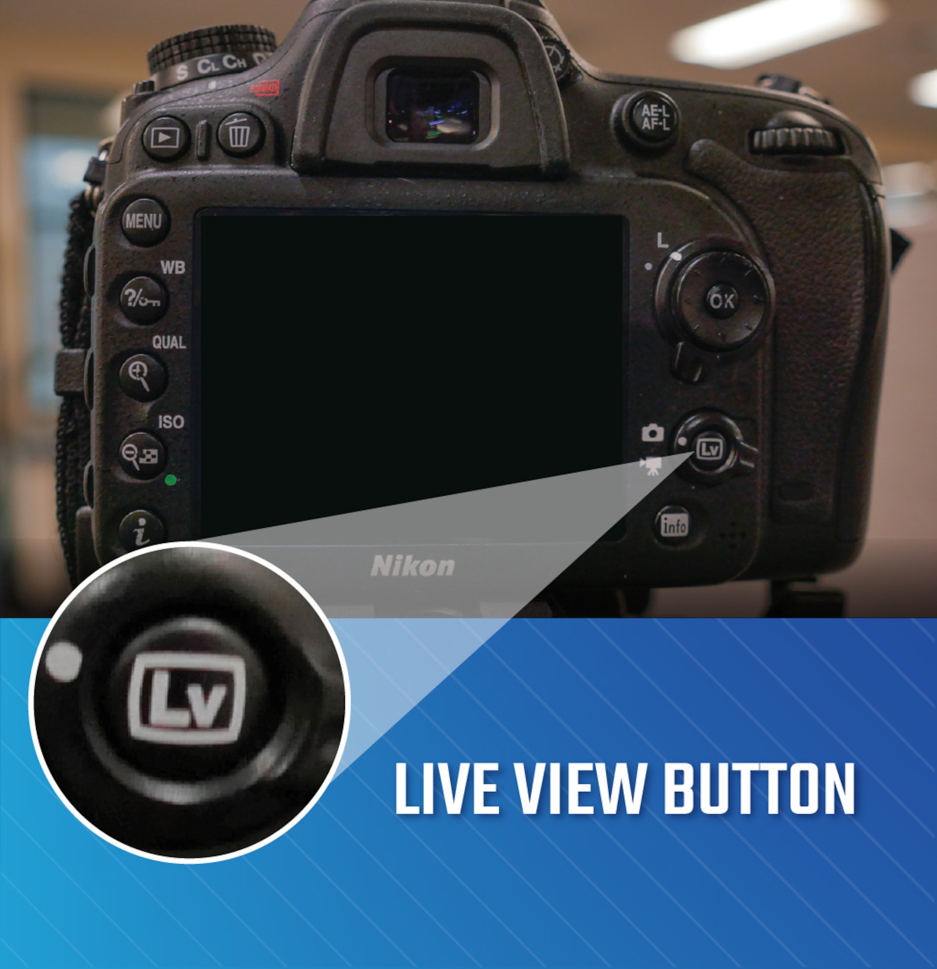 Camera with point to Lv button