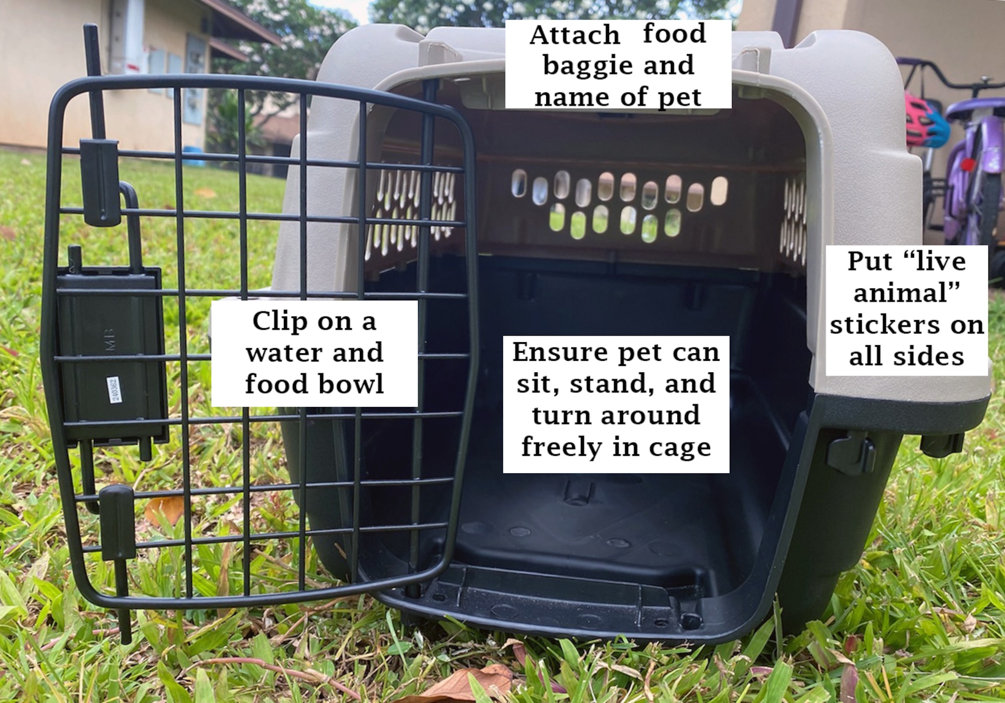 Moving pets to Hawaii is a lengthy process that involves many steps to ensure a smooth transition. When shipping a pet, owners should ensure they clip a water and food dish on the inside of the crate, attach the pet's name to the front, a food baggie on top, and ensure the pet can sit, stand, and turn around without touching the top of the crate. (U.S. Air Force photo illustration by Airman 1st Class Erin Baxter)
