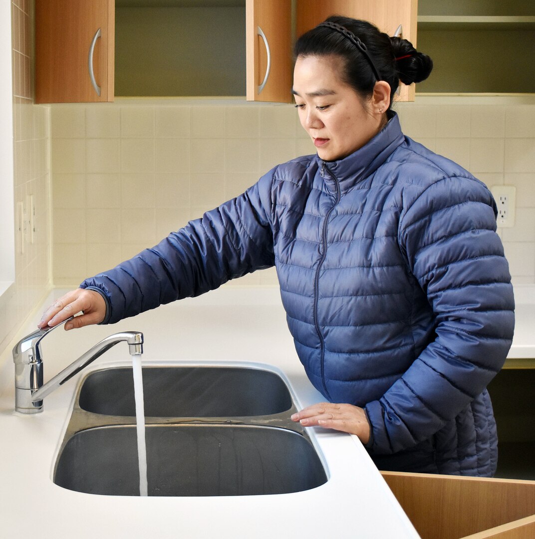 housing inspector