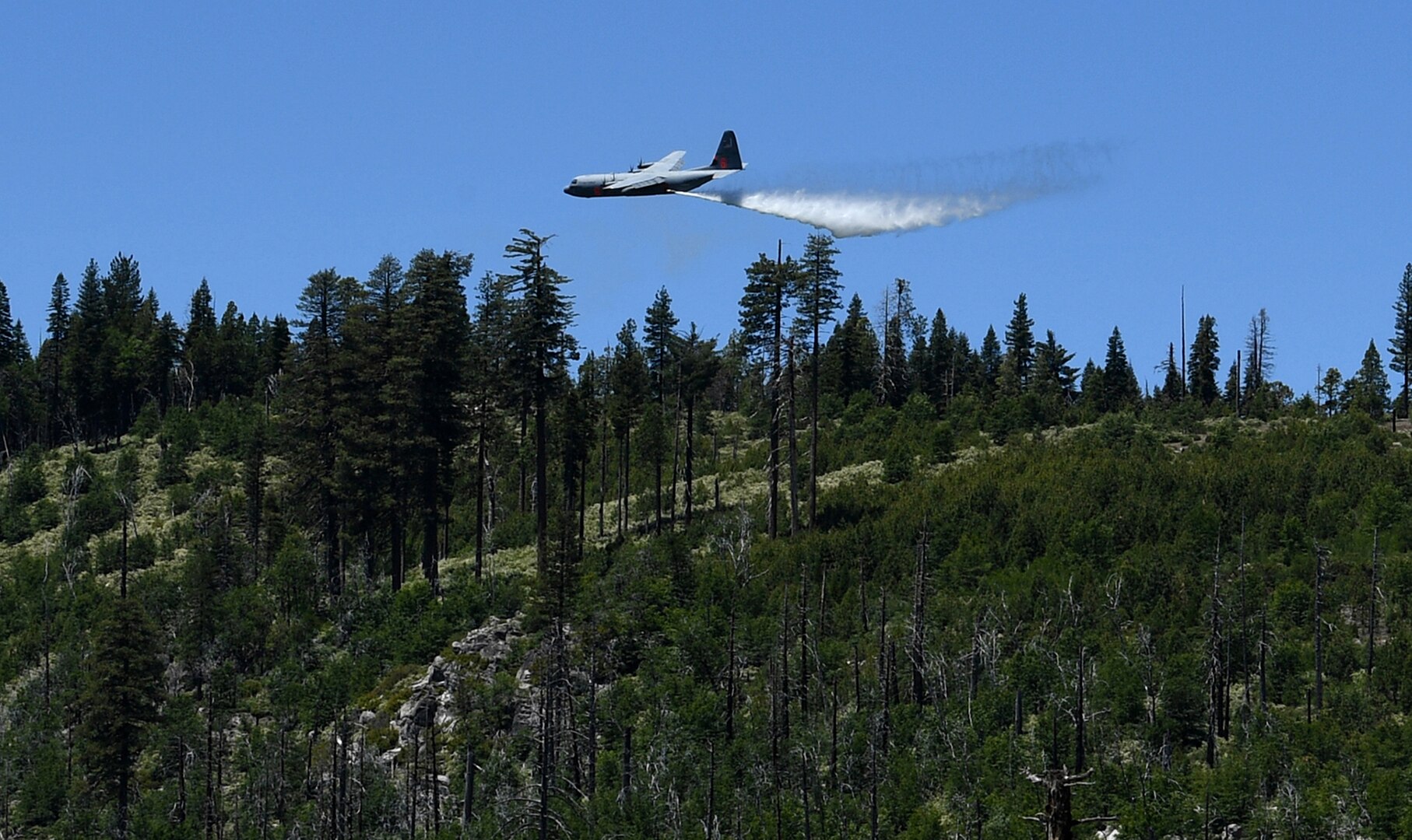 About 150 feet above a tree line, a California Air National Guard C-130 aircraft releases 3,000 gallons of water, covering nearly a quarter mile, during aerial wildland firefighting training June 15-19, 2020, at the Tahoe National Forest.