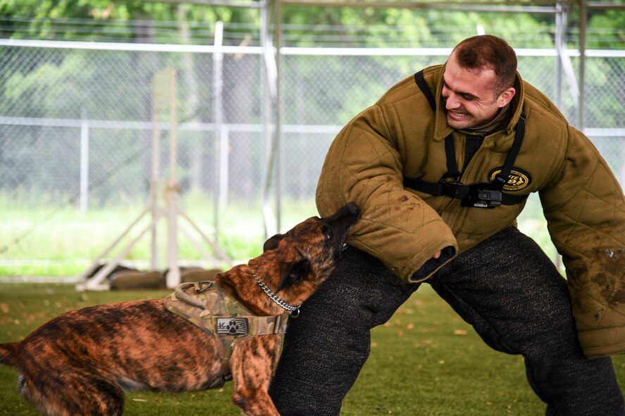 Airmen, canines work paw-in-hand