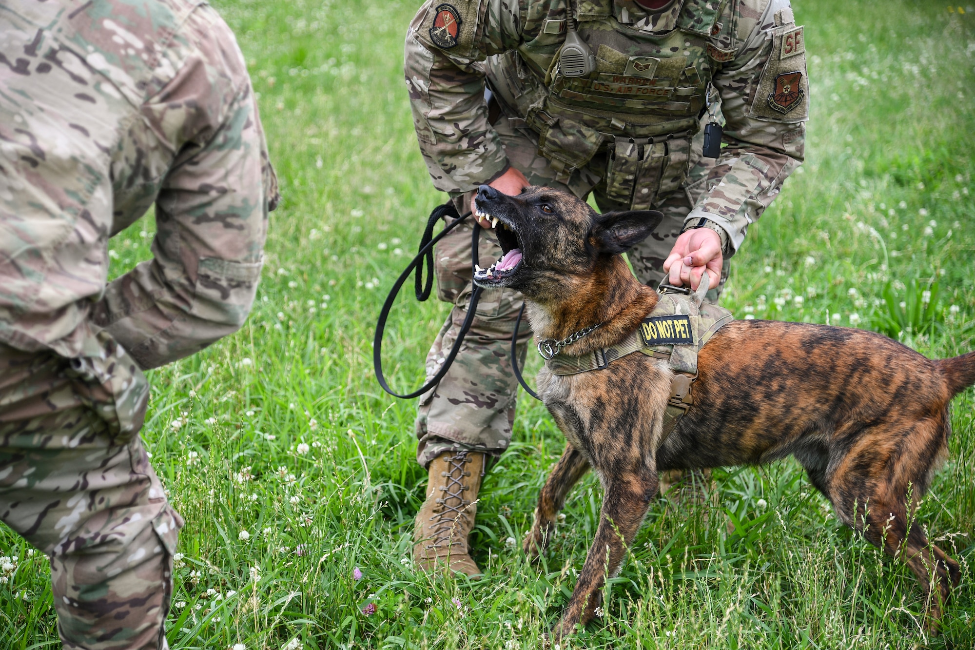 Airmen, canines work paw-in-hand