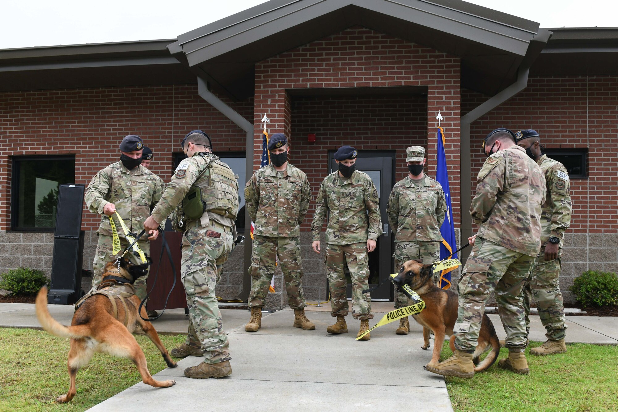 dogs cut a ribbon