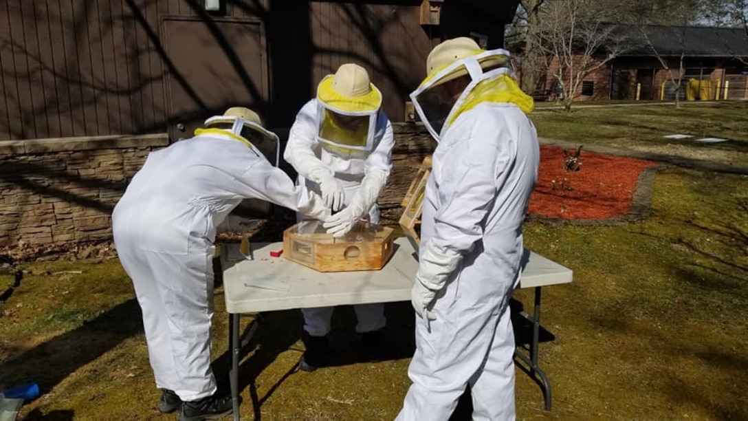Tygart Lake Corps employees work with the buzzing residents living in their interpretative honeybee display. The display allows visitors to get an up-close look at nature’s most important pollinator inside the visitors center and out.
