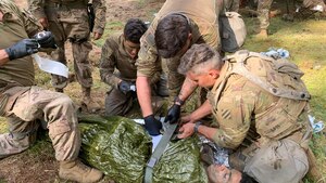 Allied Spirit: DEFENDER-Europe 20 linked exercise