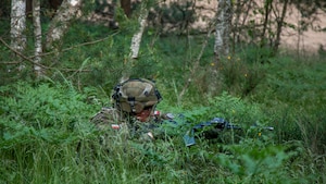 Allied Spirit: DEFENDER-Europe linked exercise