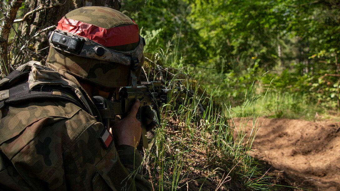 Allied Spirit: DEFENDER-Europe linked exercise