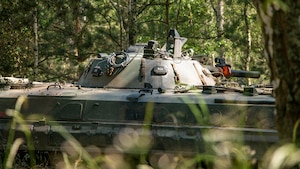 Allied Spirit: DEFENDER-Europe linked exercise