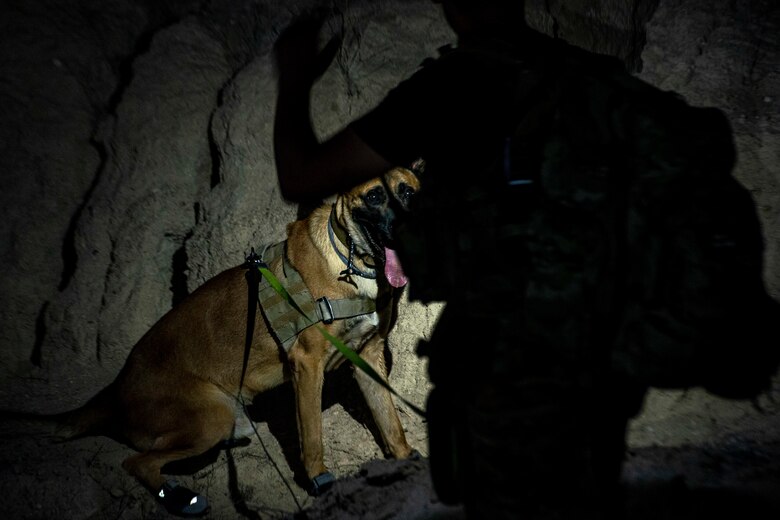 MWD locates IED threat location