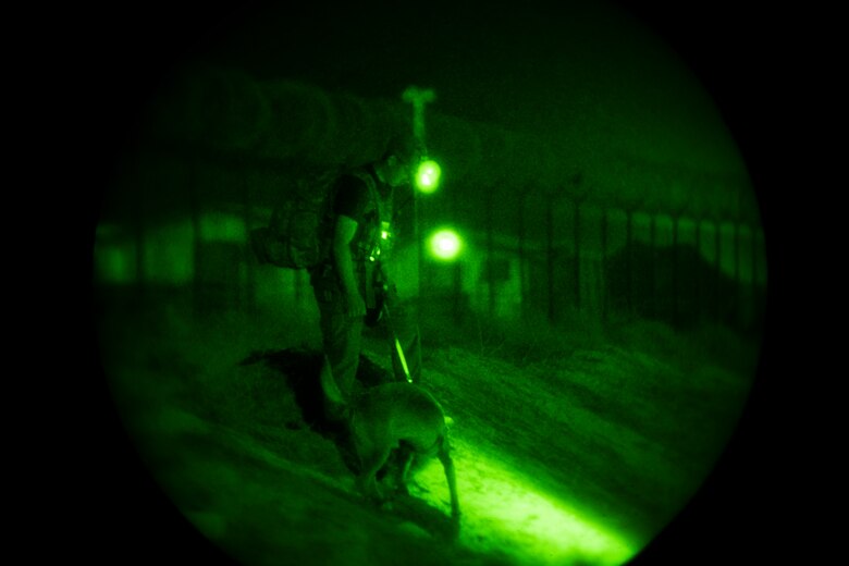 dog searches for IEDs