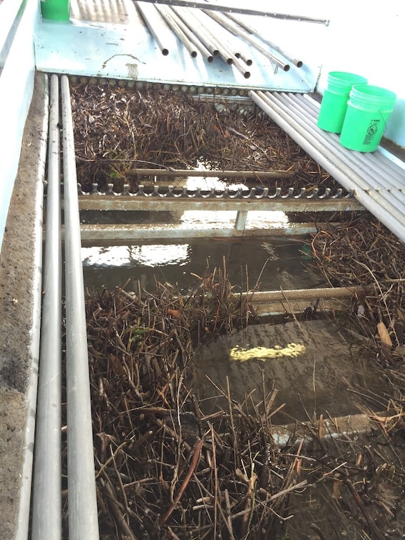 Debris built up in the separator at Little Goose Lock and Dam, 2017.