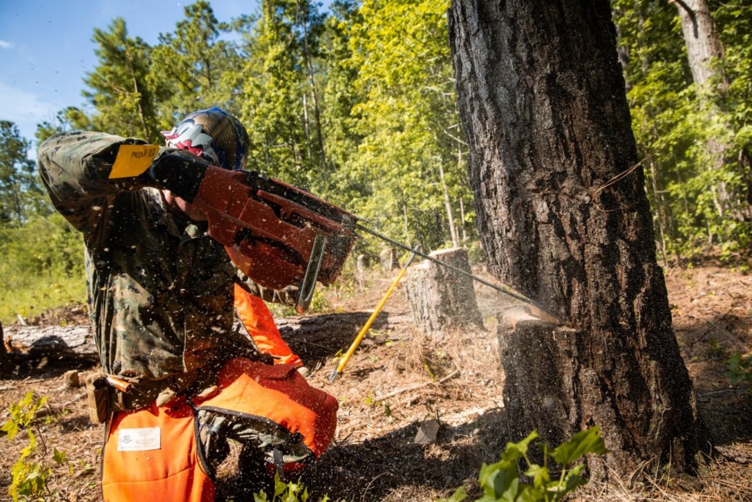 U.S. Marine Corps 1st Lt. Christian Forbes, a Columbia, South Carolina native and tank officer with 2d Tank Battalion, 2d Marine Division (MARDIV), sharpens a chainsaw during a chainsaw training event at Camp Johnson, North Carolina, June 24, 2020. During the training, Marines from various units throughout 2d MARDIV learned essential tree felling skills in preparation for potential natural disaster relief. (U.S. Marine Corps photo by Lance Cpl. Patrick King)