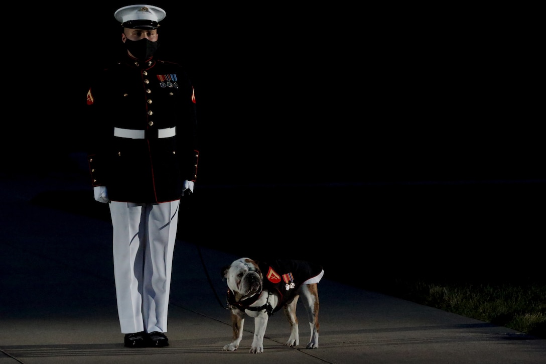 Lance Cpl. Elijah Chandler, mascot handler, Marine Barracks Washington, D.C., stands at attention with the official mascot of the Marine Corps, Lance Cpl. Chesty XV, during the Friday Evening Parade at Marine Barracks Washington, D.C., June 26, 2020. Following Department of Defense guidelines and Centers for Disease Control and Prevention (CDC) recommendations, Marines are wearing cloth face coverings during parades this year in an effort to maximize the health and safety of Barracks personnel and guests. The hosting official for the evening was Col. Teague A. Pastel, commanding officer, Marine Barracks Washington, and the 38th Commandant of the Marine Corps, Gen. David H. Berger, was the guest of honor. (U.S. Marine Corps photo by Sgt. Robert Knapp)