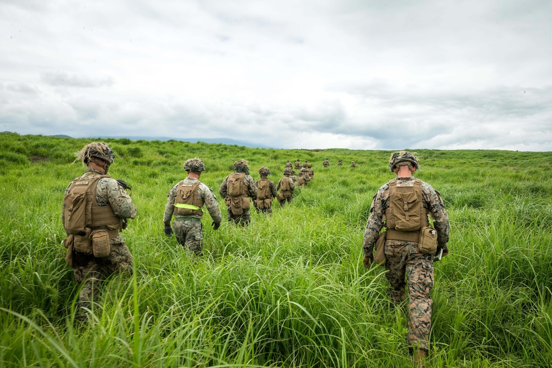 Marines walk in single file through long grass.