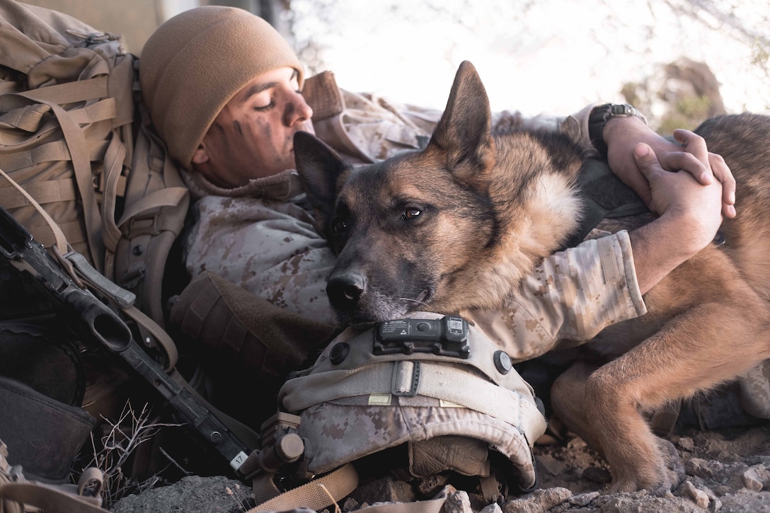 A Marine in uniform and military working dog lay on the ground.