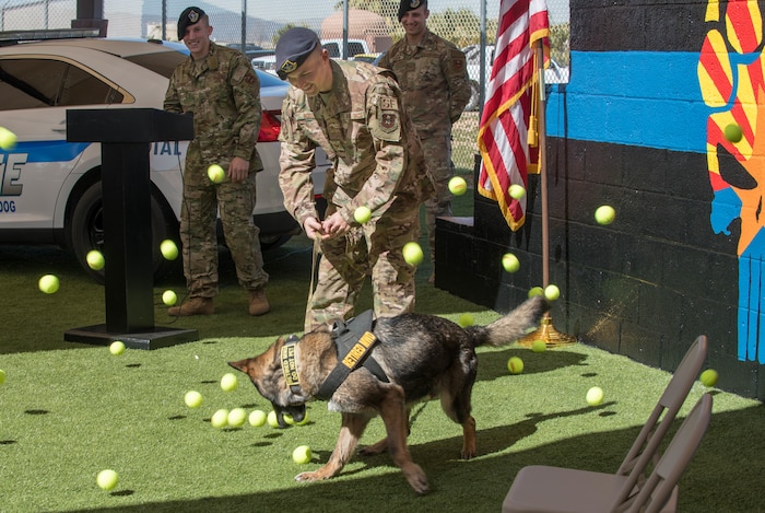 MWD Finding Home