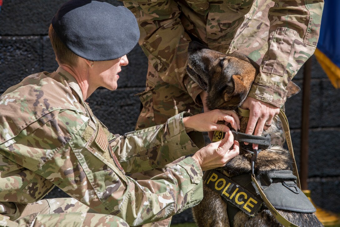 MWD Finding Home