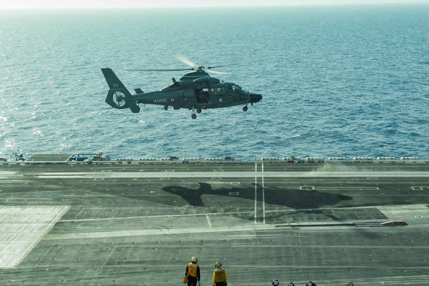 USS Eisenhower:Dauphin