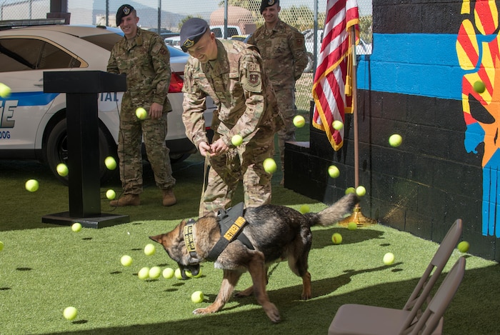 MWD Finding Home