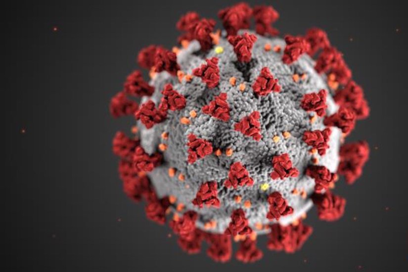 virus electron microscope color