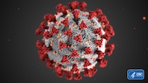 photo of a virus cell