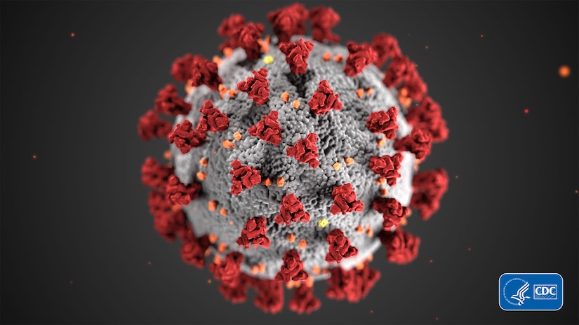 photo of a virus cell