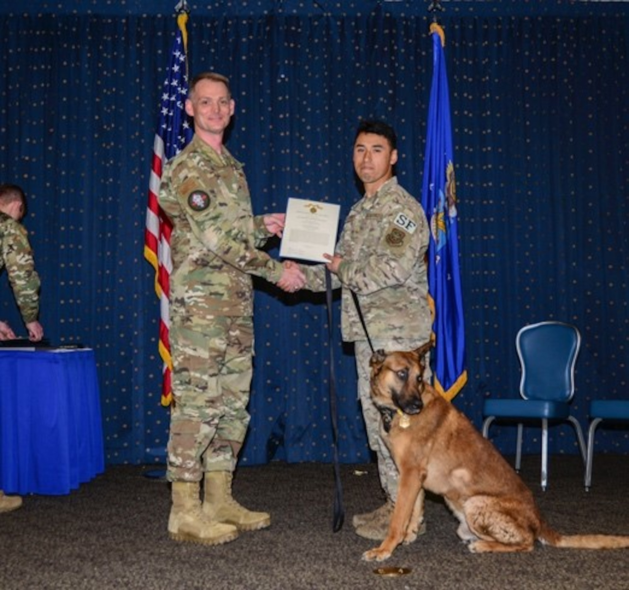 Commander presents military working dog with certificate of retirement.