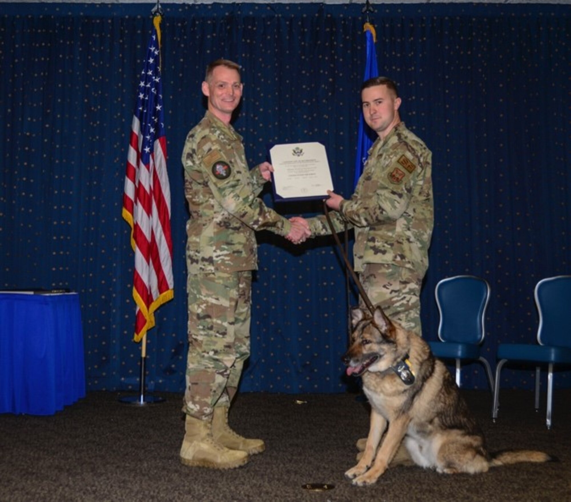 Commander presents military working dog with certificate of retirement.