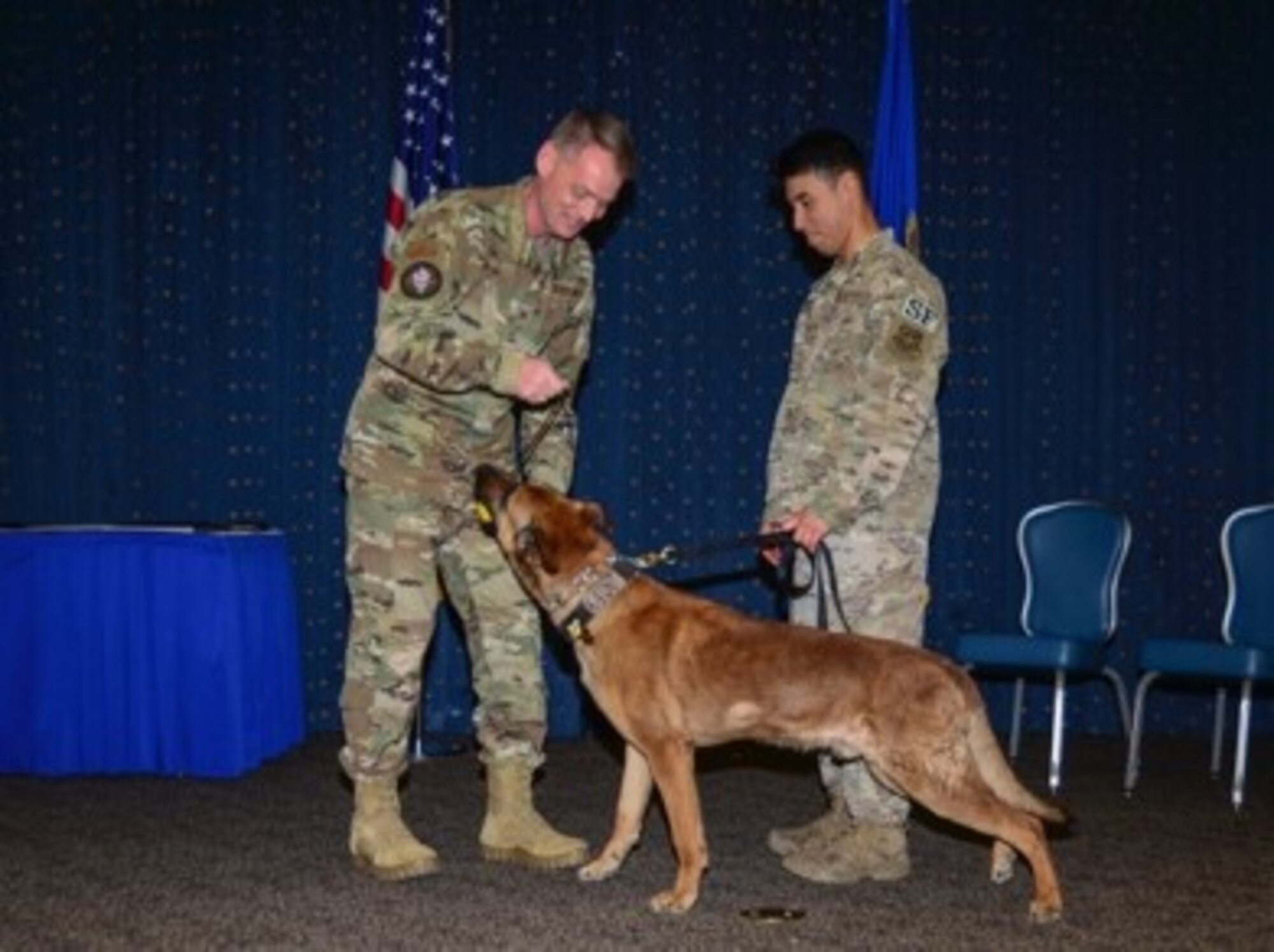 Commander gives military working dog a toy upon retirement.