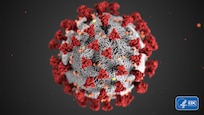 photo of a virus cell