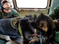 National Guard Rescues Border Patrol Canine in Distress