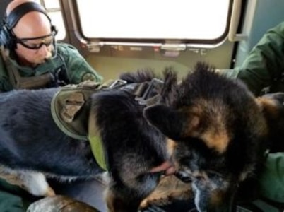 National Guard Rescues Border Patrol Canine in Distress