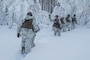 A U.S. Marine signals Marines to hurry during exercise Snow Panzer in Setermoen, Norway, Feb. 25.