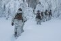 A U.S. Marine signals Marines to hurry during exercise Snow Panzer in Setermoen, Norway, Feb. 25.