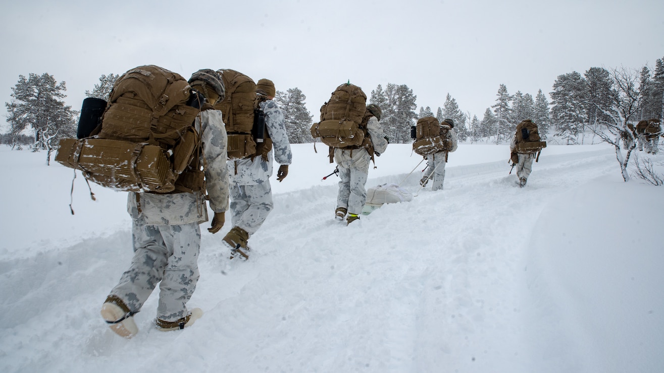 U.S. Marines conduct a cold-weather hike led by Norwegian Forsvaret soldiers during a cold-weather training package in preparation of Exercise Cold Response 20, in Bjerkvik, Norway, Feb. 26.