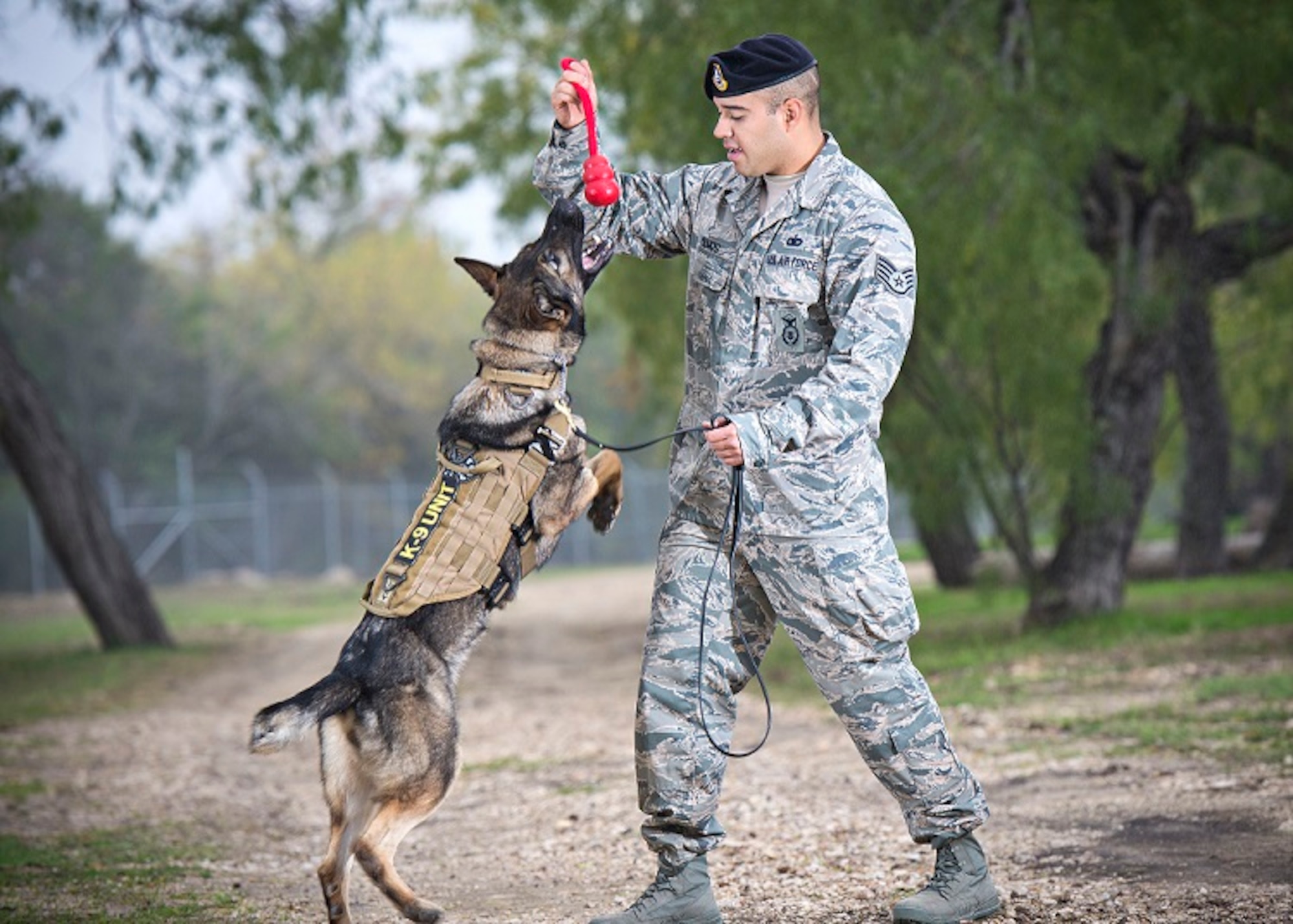The 341st Training Squadron provides training to military working dogs (MWDs) used in patrol, drug and explosive detection, and specialized mission functions for the Department of Defense (DoD) and other government agencies. Personnel conduct operational training of MWD handlers and supervisors and sustain DoD MWD program through logistical support, veterinary care, and research and development for security efforts worldwide.